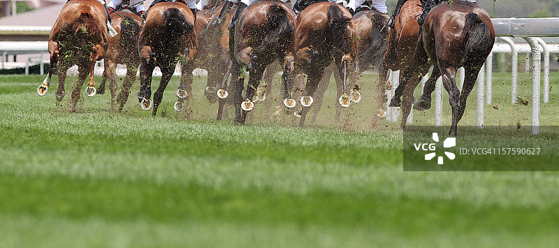 奔跑的马图片素材
