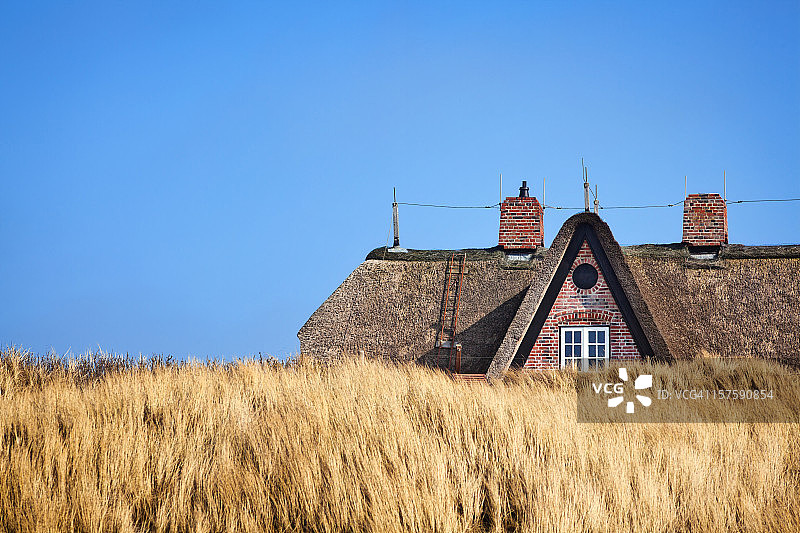 茅草屋顶图片素材