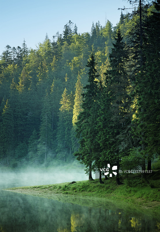 黎明时分雾蒙蒙的山间湖泊，有松树林图片素材