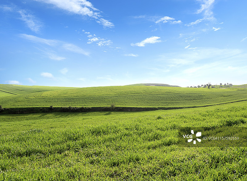 绿色景观图片素材