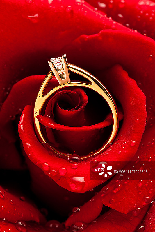 藏在粉色玫瑰里的钻石订婚戒指图片素材