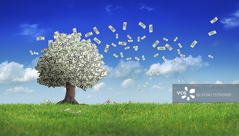 摇钱树上掉落的美元图片素材