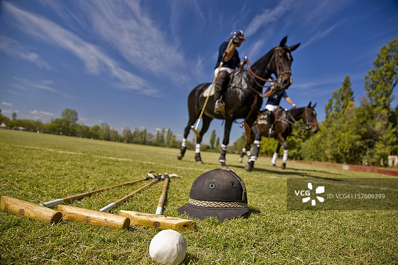 马球马图片素材