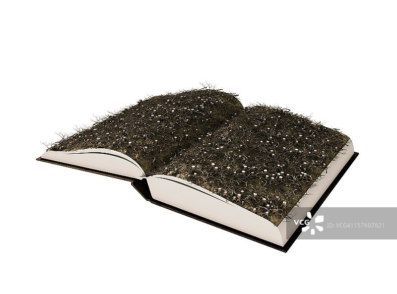 森林砍伐的故事图片素材