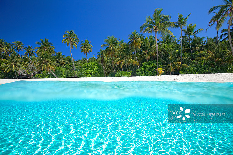 水上水下图片素材