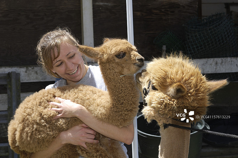 女人抱着小羊驼图片素材