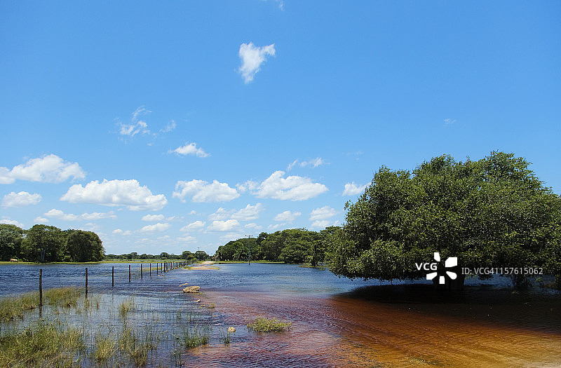巴西潘塔纳尔湿地图片素材