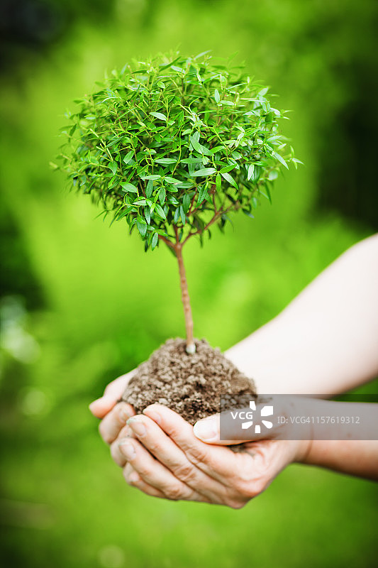 绿色发展图片素材