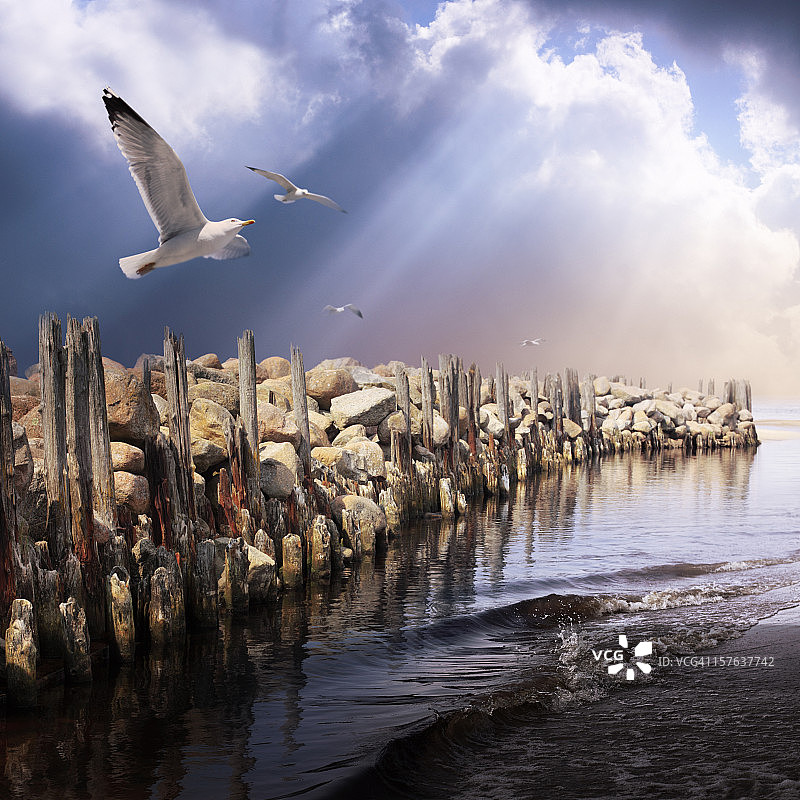 海鸥与暴风雨天空的海洋景观图片素材