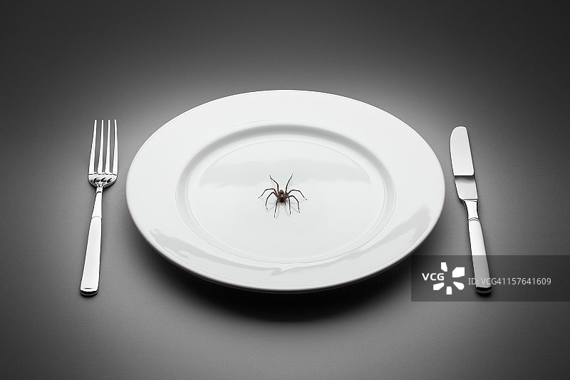 盘子里的蜘蛛：恐怖餐厅餐叉刀具图片素材