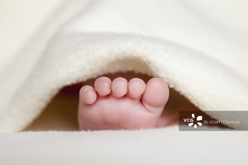 新生婴儿的脚（特写）图片素材
