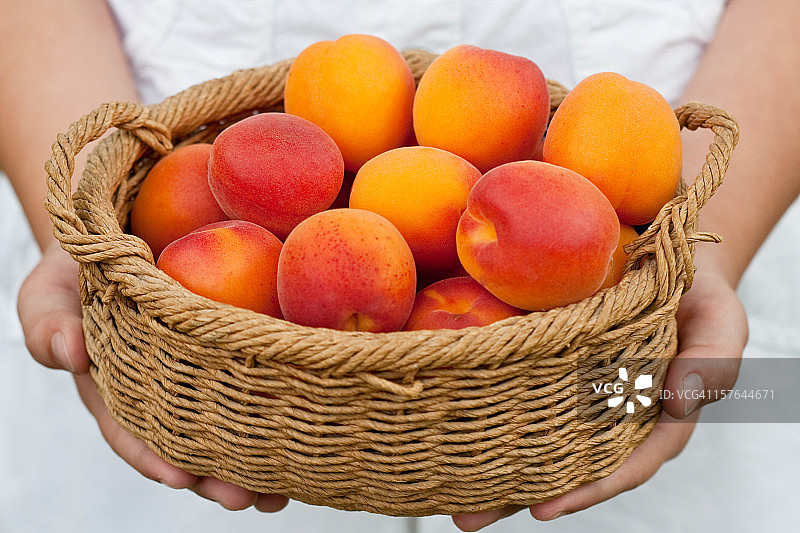 篮子里的杏子图片素材