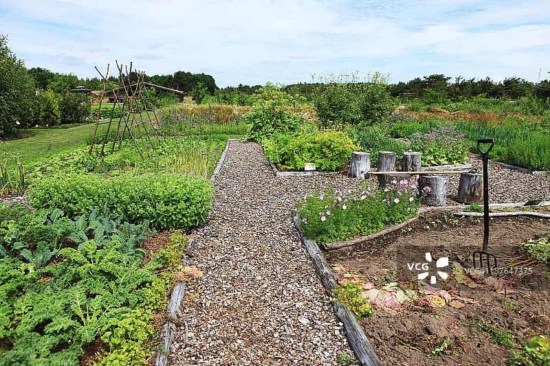 带有蔬菜和鲜花的大型乡村有机花园图片素材