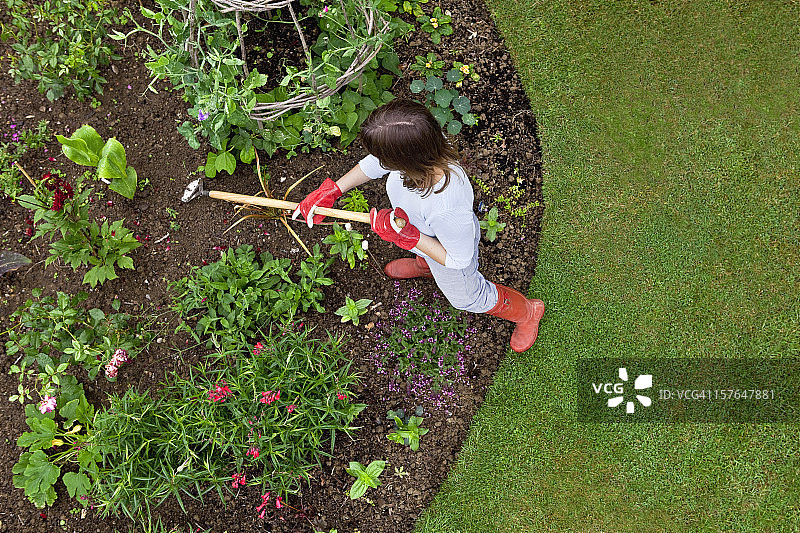用锄头在花坛里除草的女人图片素材