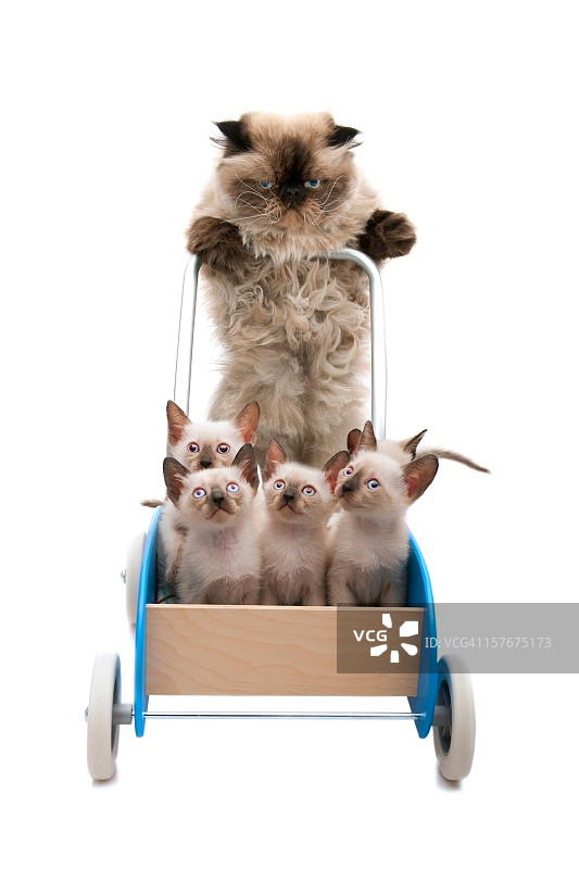 母亲和女儿图片素材