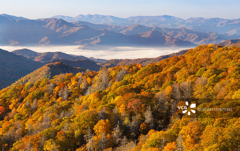 秋季森林和山脉图片素材
