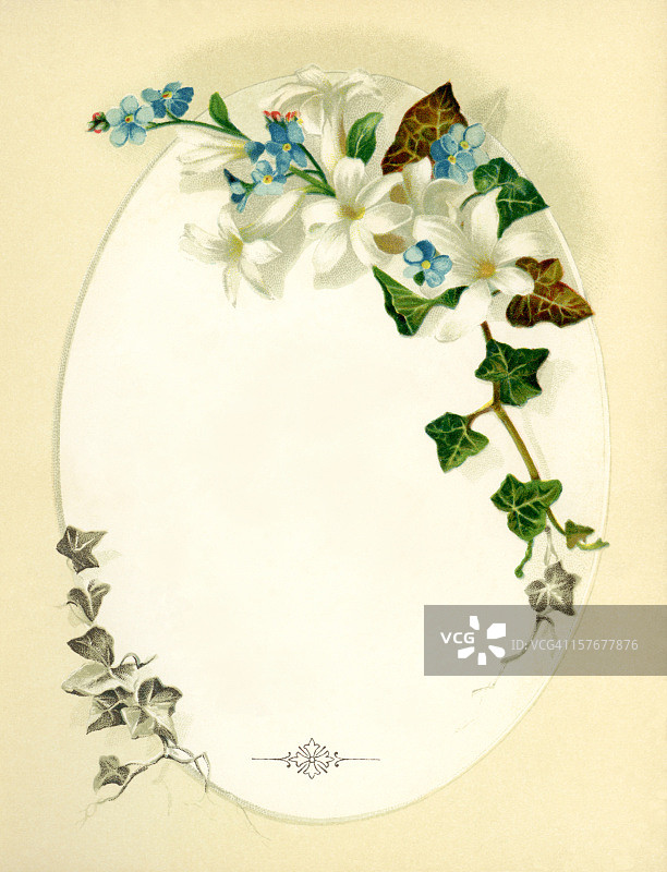 维多利亚风格的椭圆形花卉框架图片素材