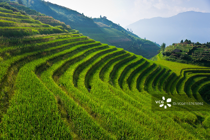 中国平安附近的龙脊梯田图片素材