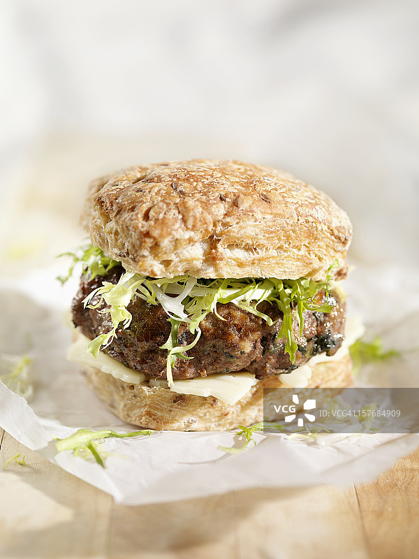 含哈瓦蒂奶酪和混合蔬菜的汉堡包图片素材