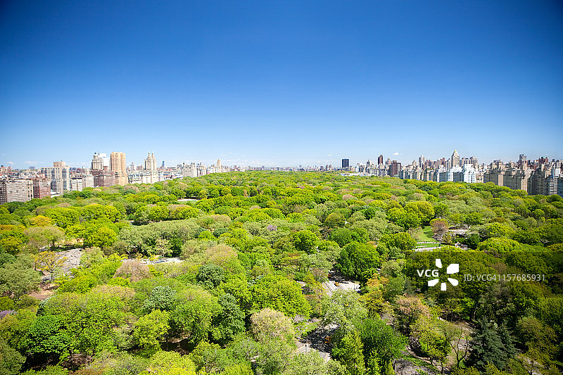 中央公园夏景图片素材