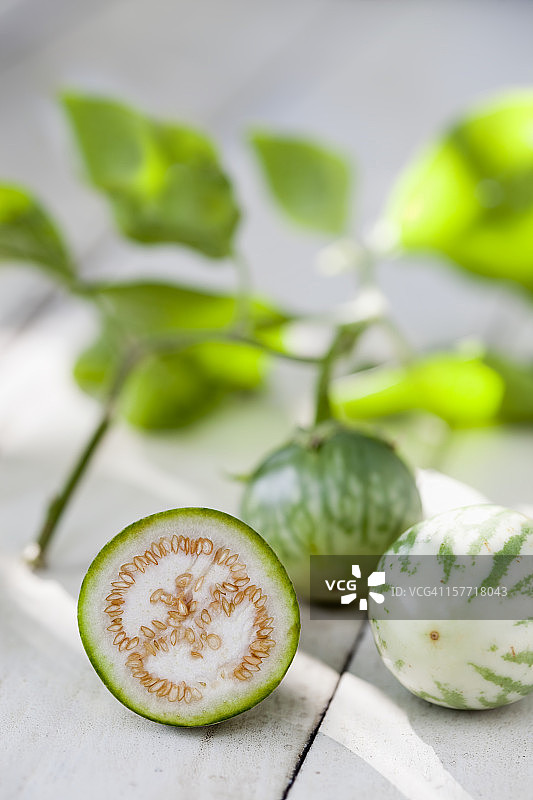 泰国茄子图片素材