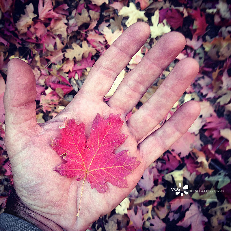 手握大自然图片素材