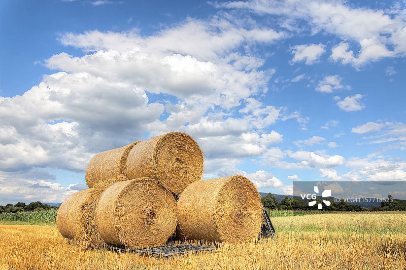 短茬地上的草堆图片素材