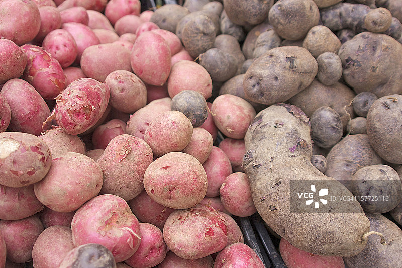 红色和紫色土豆图片素材