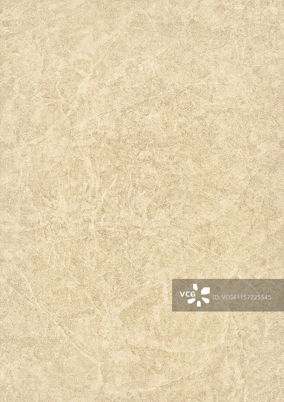 高分辨率米色仿古动物皮羊皮纸Grunge纹理图片素材