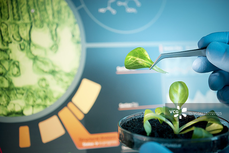 生物技术图片素材