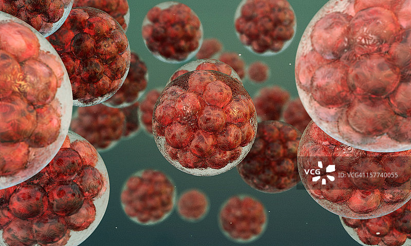 自由流动细胞的显微图像图片素材