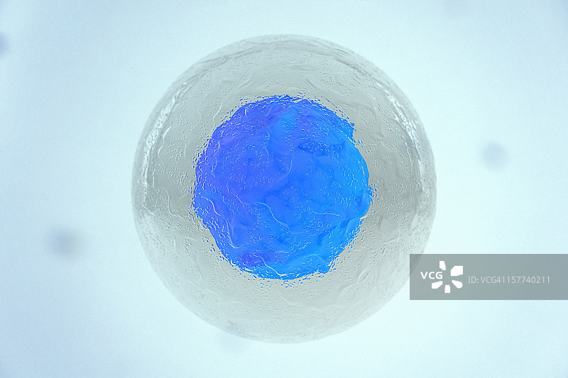 干细胞的俯视特写镜头图片素材