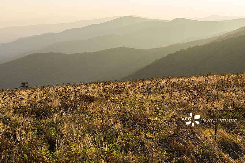 阿巴拉契亚山脉罗恩山日出图片素材