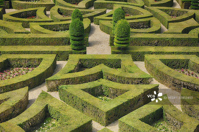维朗德里城堡的规整树篱花园图片素材