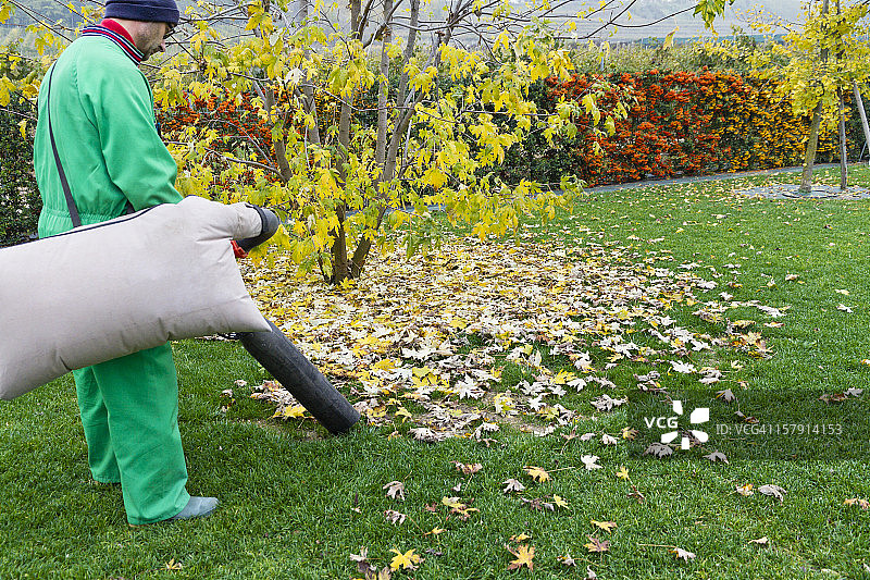 男人捡起树叶图片素材