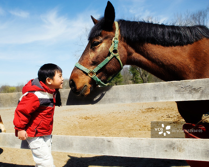 男孩与马的亲密互动图片素材