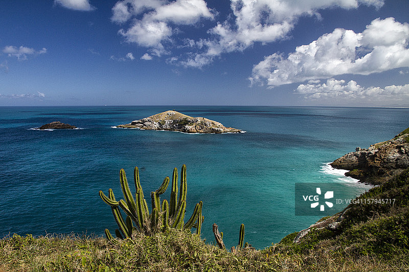 阿塔拉亚角图片素材