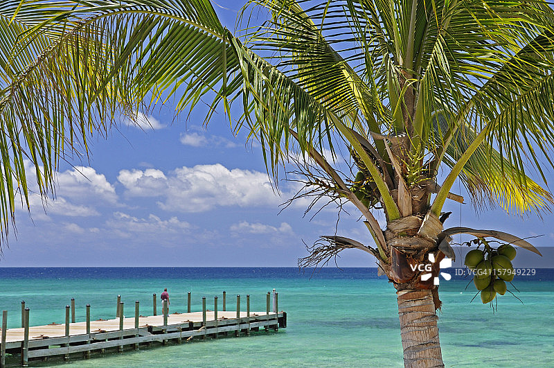 加勒比图片素材