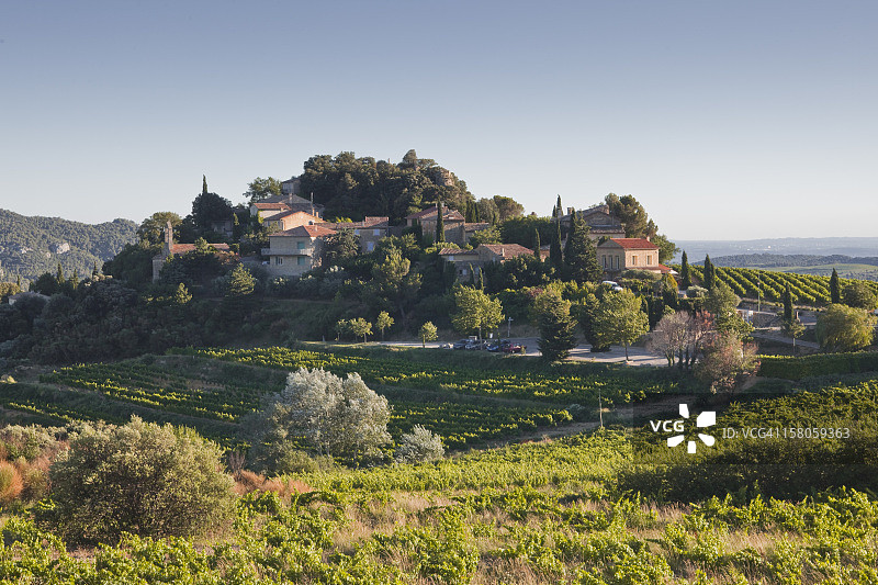 Suzette村庄附近的葡萄园图片素材