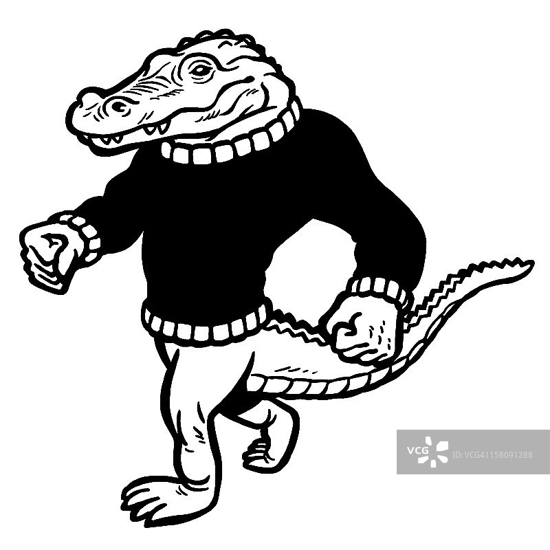 穿着毛衣的鳄鱼图片素材