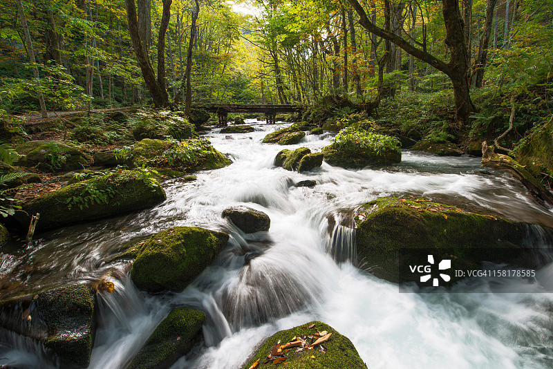 秋季的奥入濑溪流图片素材