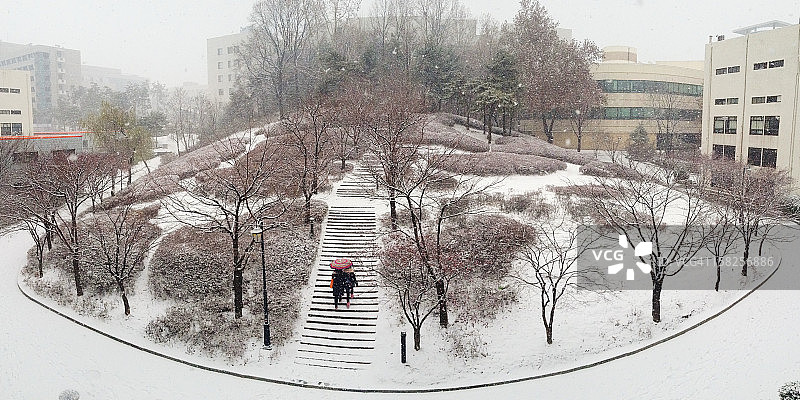 两个女孩打着伞在雪中行走图片素材