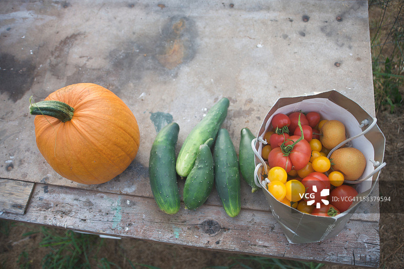 九月采摘的各种蔬菜图片素材