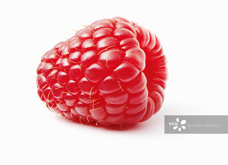 白色背景上的覆盆子图片素材