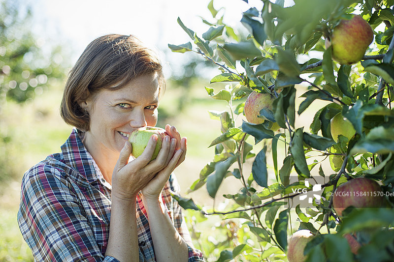 有机农场里闻着新鲜苹果的格子衬衫女人图片素材