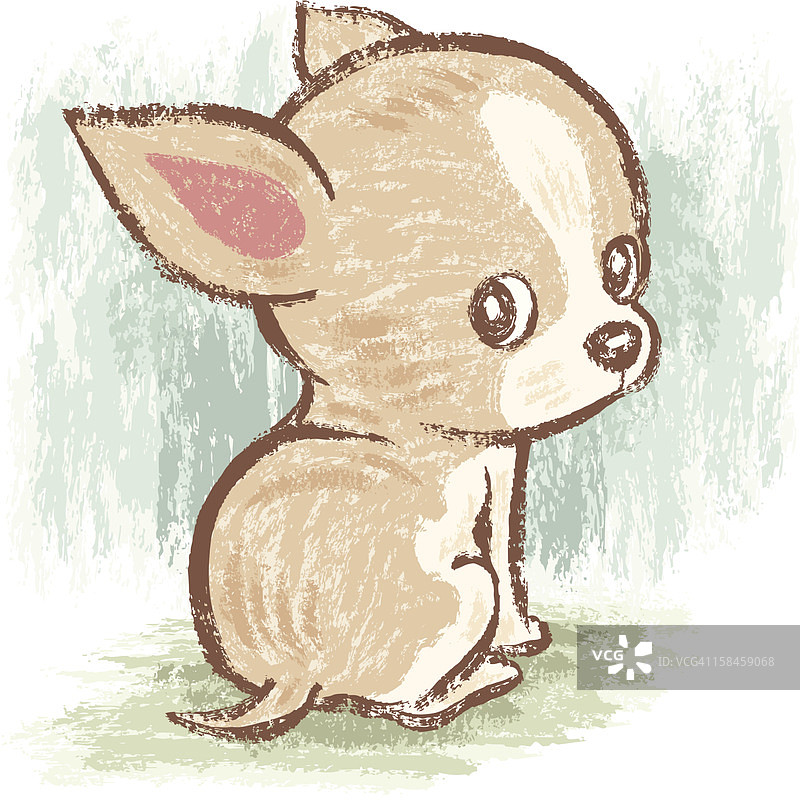 吉娃娃回头看图片素材