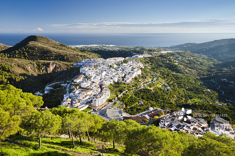 弗里希利亚纳图片素材
