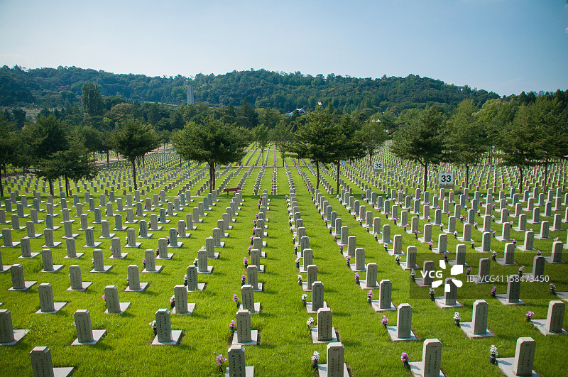 绿草地上坟墓和树木图片素材