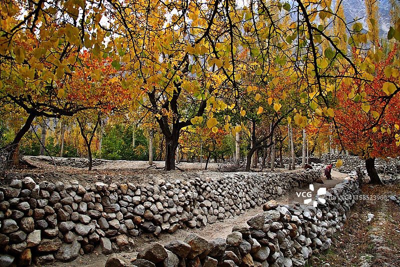 清洁道路图片素材
