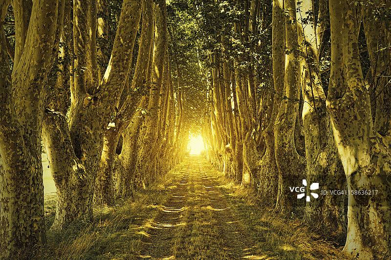 隧道尽头的光亮图片素材